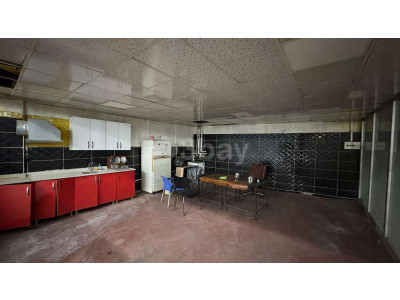 WhatsApp Image 2026-03-11 at 10.55.35.jpeg